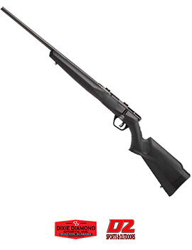 Savage Armss 22 Magnum